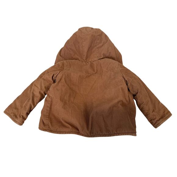 Baby Boden Sprout Dog Cord Jacket 2 to 3 Year Old Brown Stripe Navy - Picture 5 of 7